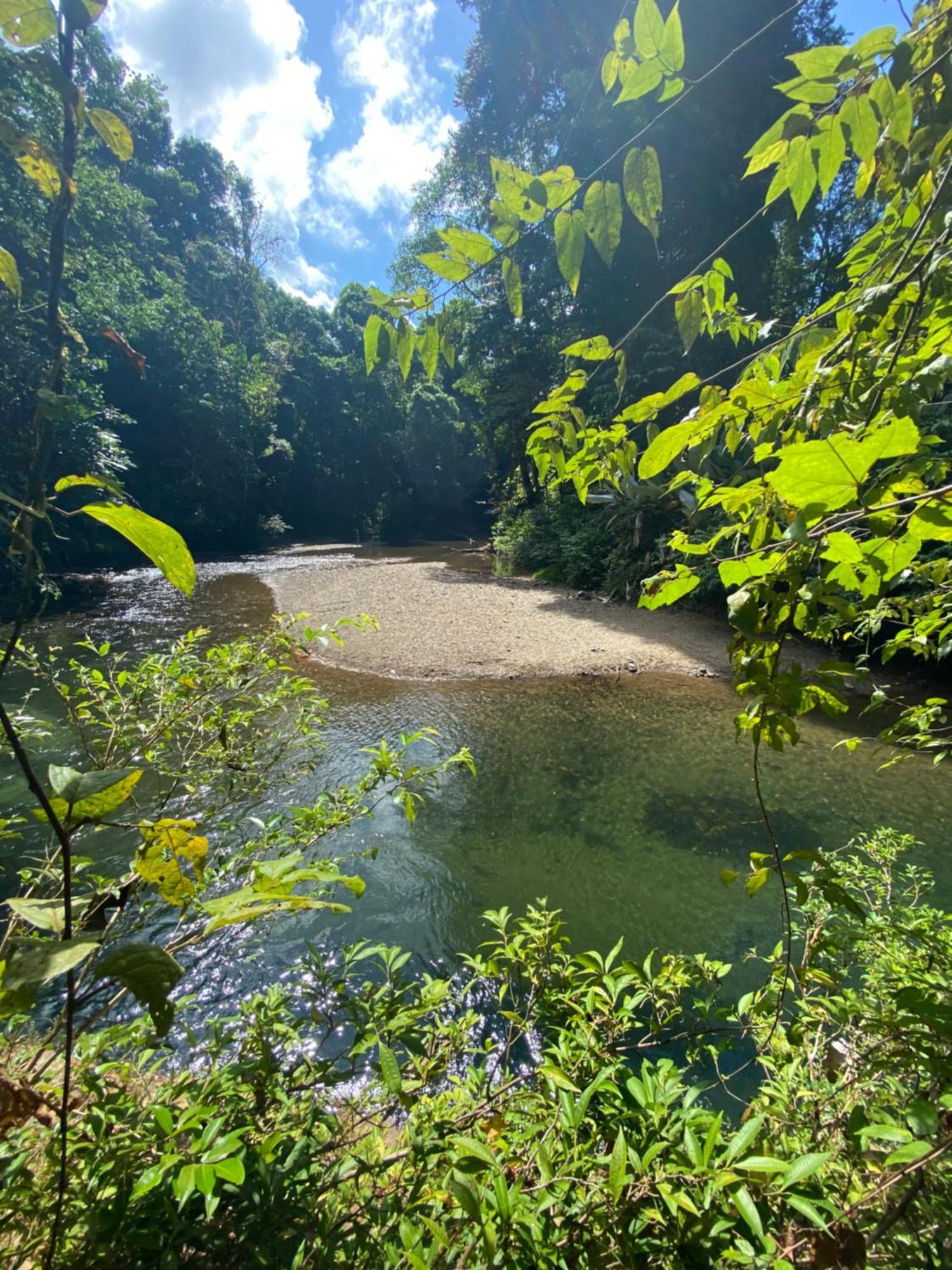 Cabinas Corcovado Green Parrot, Los Planes Drake Drake Bay Ngoại thất bức ảnh