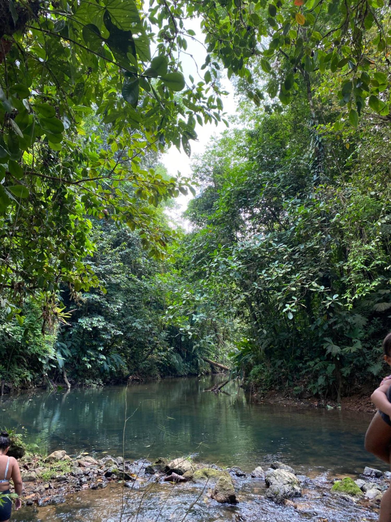 Cabinas Corcovado Green Parrot, Los Planes Drake Drake Bay Ngoại thất bức ảnh