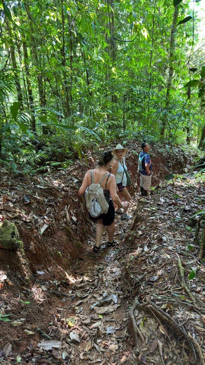 Cabinas Corcovado Green Parrot, Los Planes Drake Drake Bay Ngoại thất bức ảnh