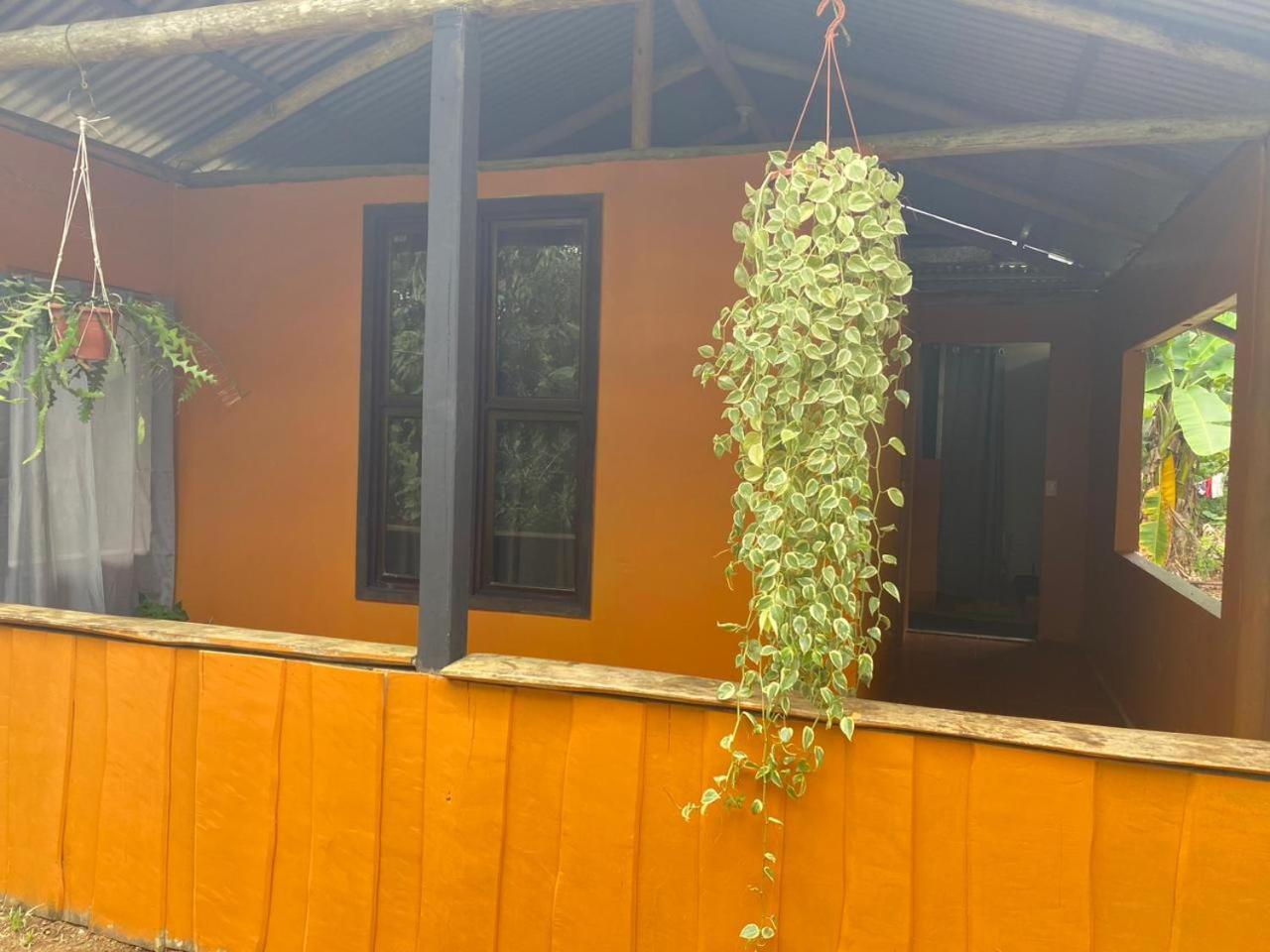 Cabinas Corcovado Green Parrot, Los Planes Drake Drake Bay Ngoại thất bức ảnh