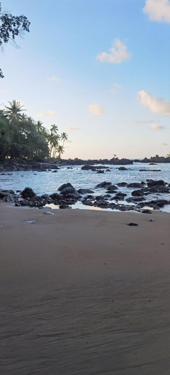 Cabinas Corcovado Green Parrot, Los Planes Drake Drake Bay Ngoại thất bức ảnh