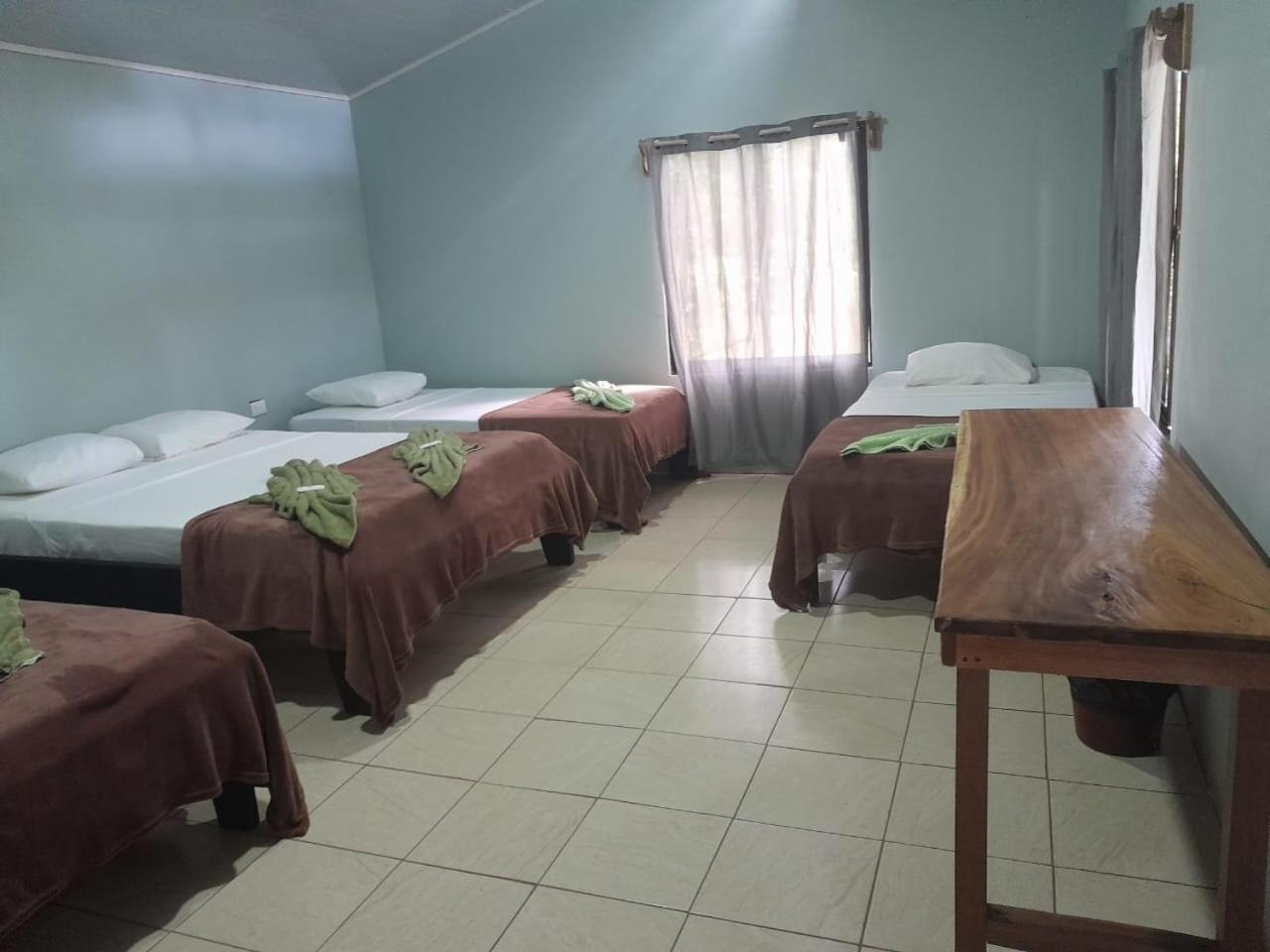 Cabinas Corcovado Green Parrot, Los Planes Drake Drake Bay Ngoại thất bức ảnh