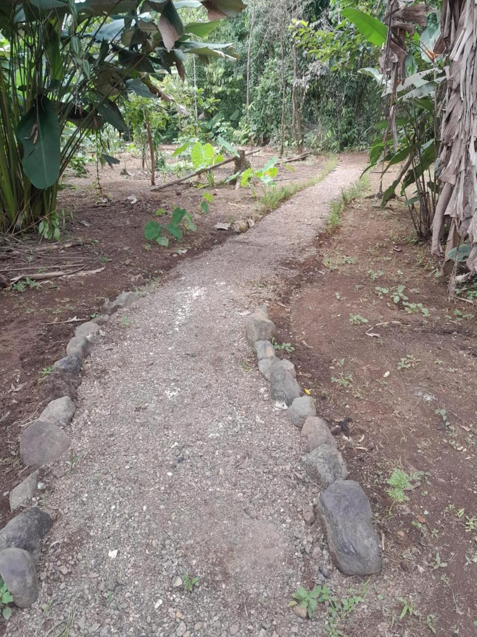 Cabinas Corcovado Green Parrot, Los Planes Drake Drake Bay Ngoại thất bức ảnh