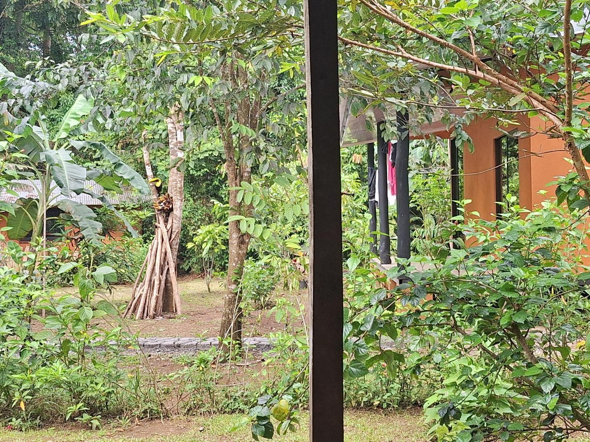 Cabinas Corcovado Green Parrot, Los Planes Drake Drake Bay Ngoại thất bức ảnh