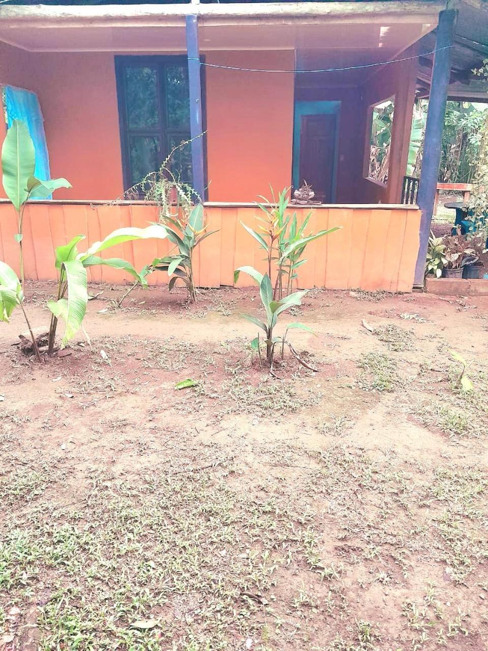 Cabinas Corcovado Green Parrot, Los Planes Drake Drake Bay Phòng bức ảnh
