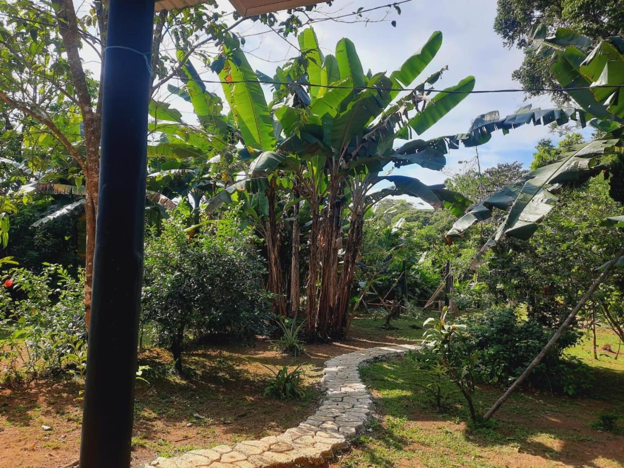 Cabinas Corcovado Green Parrot, Los Planes Drake Drake Bay Ngoại thất bức ảnh