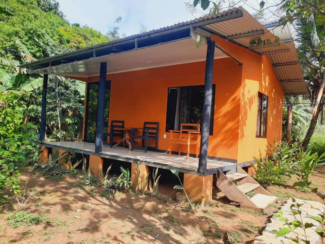 Cabinas Corcovado Green Parrot, Los Planes Drake Drake Bay Ngoại thất bức ảnh