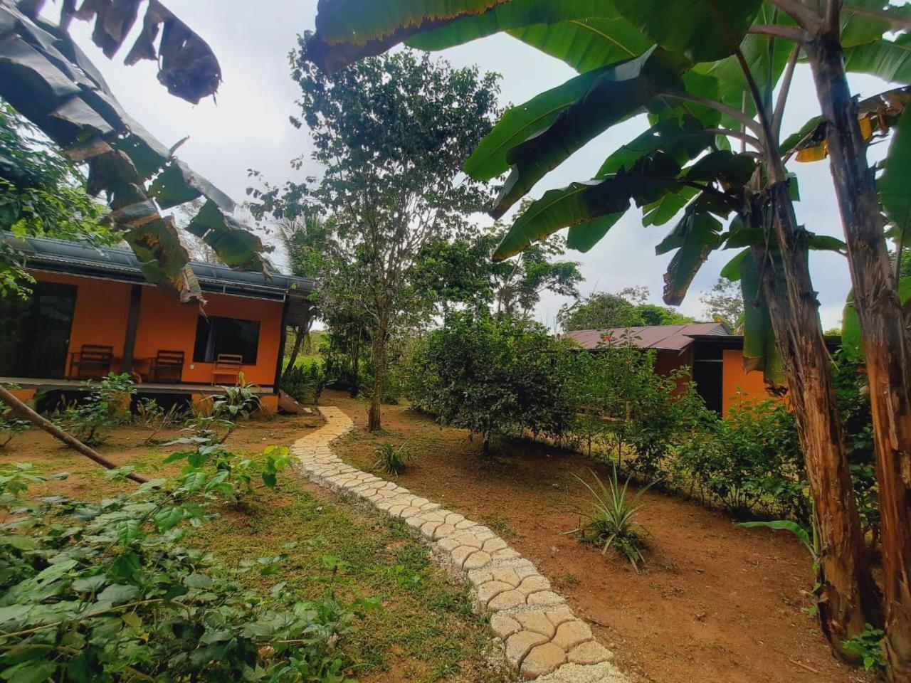 Cabinas Corcovado Green Parrot, Los Planes Drake Drake Bay Ngoại thất bức ảnh