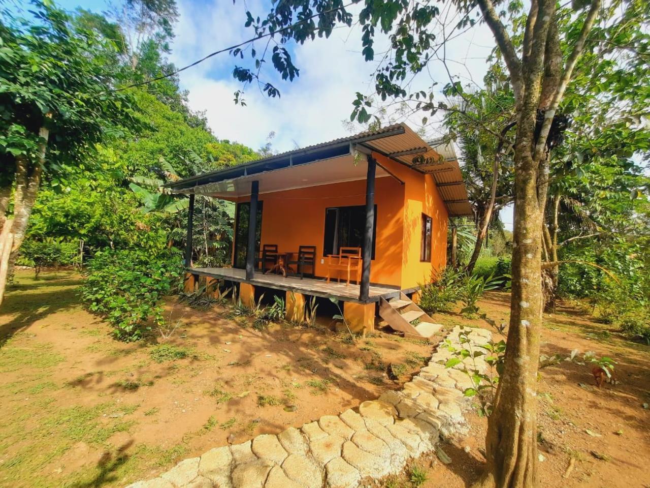 Cabinas Corcovado Green Parrot, Los Planes Drake Drake Bay Ngoại thất bức ảnh